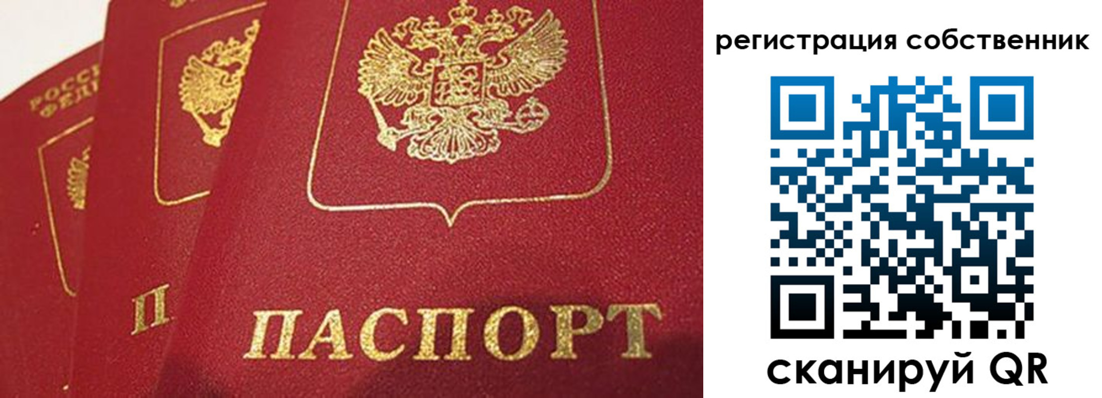 прописка штамп в Россоши